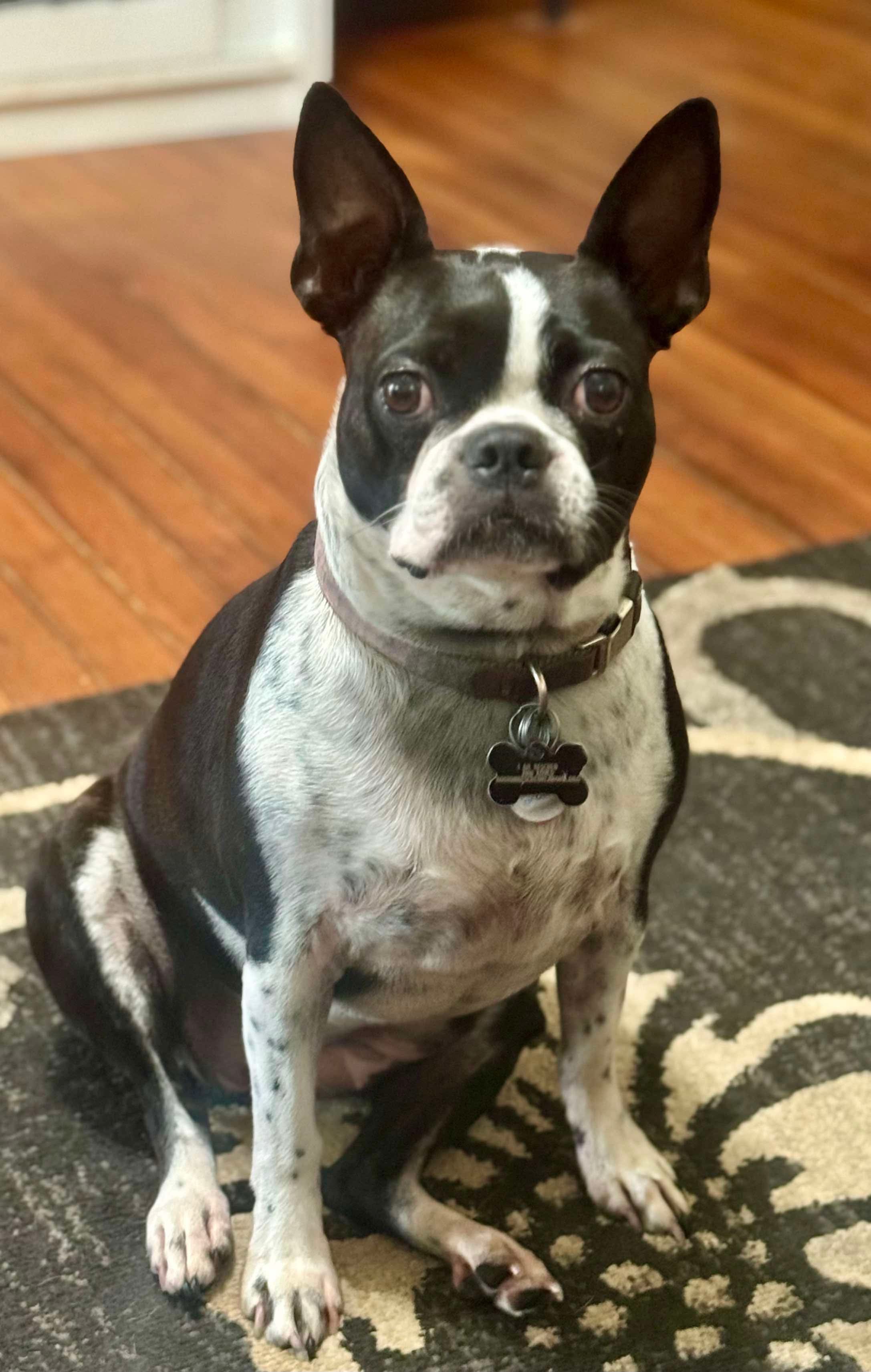 MimiMArie